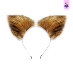 Kit Raposa Anal